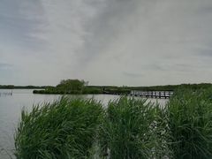 -西青郊野公园