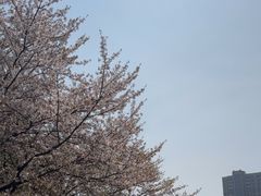 -诺贝尔湖公园