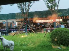 -阳坊胜利涮羊肉(阳坊老店)
