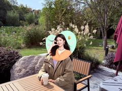 -昆山城市生态森林公园