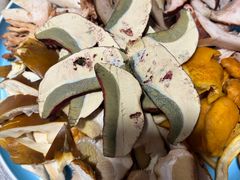 -菌之家·专业纯野生菌火锅·特色炒菌