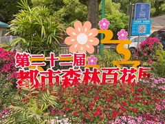 -上海共青森林公园