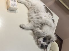 -白兔子密室(长寿路店)