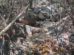 -牛鱼嘴原始生态风景区