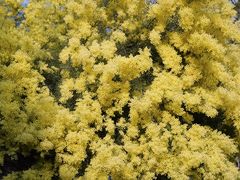 -厦门国家会计学院