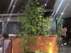 -四川饭店(城乡购物中心店)
