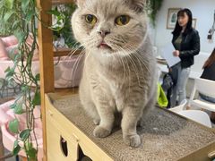 -小时光咖啡馆(北锣鼓巷店)