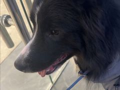 -它主义宠物(梁溪万达店)