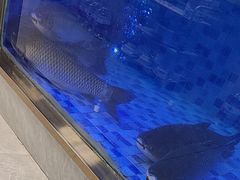 -粤顺渔坊·中山脆肉鲩火锅(清湖店)