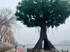 -咸阳湖景区