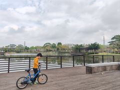 -王借岗森林公园