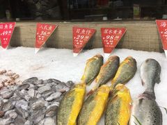 -宝燕海货工场(长江国际店)