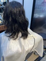 -Z.X HAIR SALON张新美业