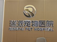 -瑞派康怡24h宠物医院·犬猫医疗中心·微创绝育(瑞景分院)