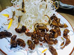 -蒙阴光棍鸡(新石中路店)