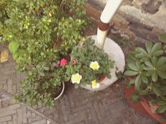 -随柳居·苏式小吃(建新巷店)