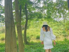 -桤木河湿地公园