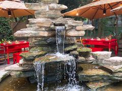 -二荆条·蜀鲜汇城市森林火锅