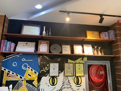 -美联众合宠物医院·爱萌分院·内外科·猫科中心