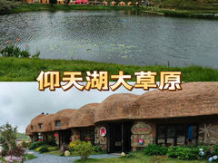 -仰天湖大草原