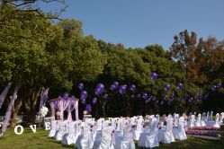 -东航云逸酒店·宴会厅