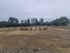 -嘉北郊野公园