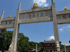 -庐山风景名胜区-东林大佛