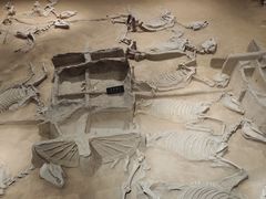 -洛阳周王城天子驾六博物馆