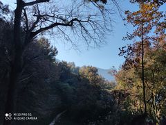 -广州市石门国家森林公园