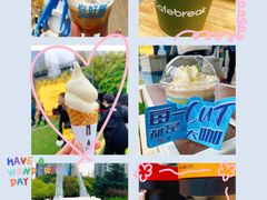 -陆家嘴中心绿地