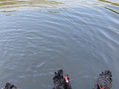 -李小龙乐园(顺德均安店)