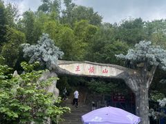 -王顺山国家森林公园