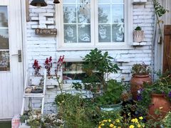 -一杯海(国际海水浴场店)