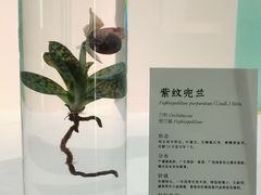 -深圳博物馆(古代艺术馆)