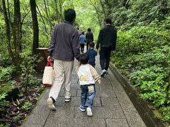 -西岭雪山大飞水景区