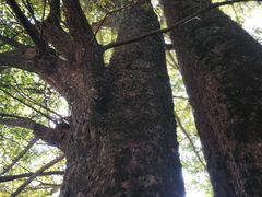 -径山寺