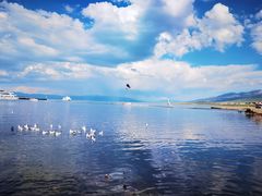 -青海湖国家重点风景名胜区