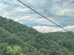 -栾川竹海野生动物园