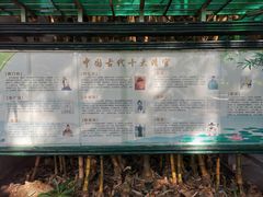 -晓港公园