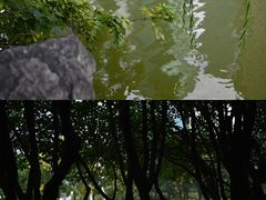 -陆家嘴中心绿地