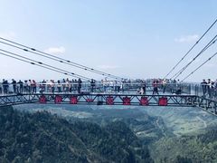 景点-梦幻奥陶纪景区