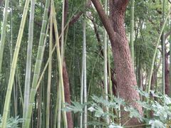 -苏州河梦清园环保主题公园