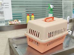 -暖阳宠物医院·犬猫康复中心·骨科