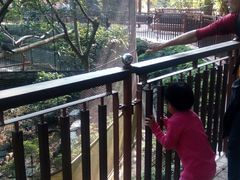 -九龙公园