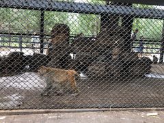 -长白岛森林公园