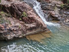 -广州白江湖森林公园