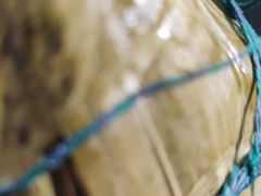 -粒上皇(宿州路店)