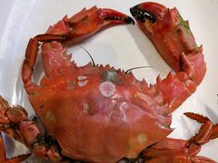 红夹子-良师门滨海人家·海鲜·家常菜(滨海城店)