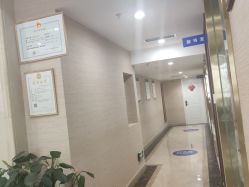 -碧莲盛·不剃发植发