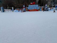 -沈阳奥体冰雪嘉年华